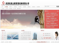 武汉高星企业管理咨询有限公司